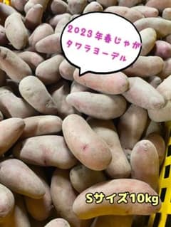 じゃがいも　タワラヨーデル　Sサイズ　10kgのサムネイル