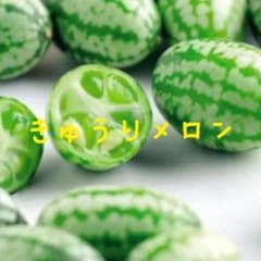 きゅうりメロン　種のサムネイル