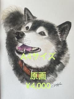 ペット水彩画　原画のサムネイル