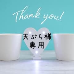 天ぷら様 リクエスト 2点 まとめ商品のサムネイル