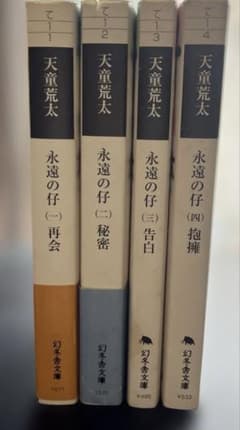 天童荒太 永遠の仔 文庫本 4冊セットのサムネイル