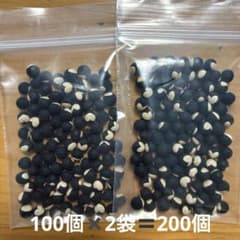 フウセンカズラの種　200粒プラスのサムネイル