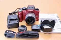LUMIX DMC G2 標準ズームレンズセット 動作品 オマケ有り LUMIX DMC G2 標準ズームレンズセット 動作品 オマケ有り - メルカリ