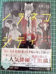 ノラネコシティ 小説のサムネイル
