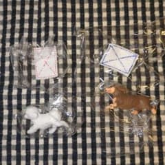 ぞうきんがけ　ダックスフンド トイプードルのサムネイル