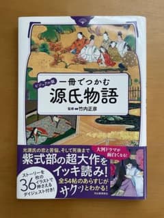 ビジュアル版 一冊でつかむ源氏物語 竹内正彦のサムネイル