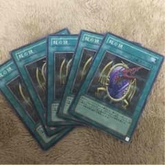 龍の鏡×５のサムネイル