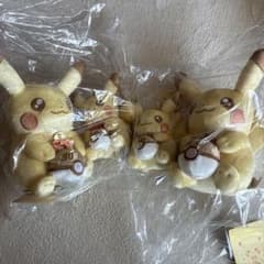 피카피카! 피카츄 30주년 기념 봉제인형 & 마스코트 각 2점 4개 세트