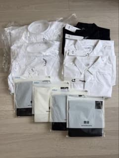 未使用タグ付 おまとめ10点UNIQLO Alexander Wang プラスJのサムネイル