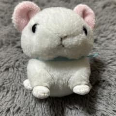 ホワイトぬいぐるみ 耳ピンクのサムネイル