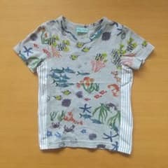 hakkakids 120 海の生き物のサムネイル