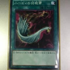 ハーピィの羽根帚のサムネイル