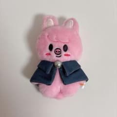 トェッキ チャンビン ぬいぐるみ 10cm セット Straykids SKZOO ぬいぐるみ 10cm トェッキ チャンビン - メルカリ