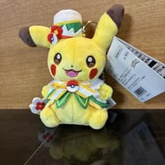 ポケモン ポケパーク カントー 限定 ぬいぐるみマスコット ピカチュウ