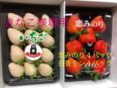 いちご 紅白セット❤️恋みのり&白香モン❤️ 苺  イチゴ　いちごのサムネイル