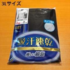吸汗速乾 カノコ編み 半袖 メンズ3L 丸首 ２枚組