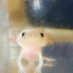 ちゅんさん専門のサムネイル