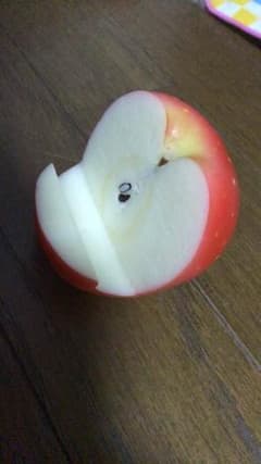 よこたん様 専用ページ。のサムネイル