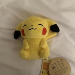 マイピカチュウ 垂れ耳 メス にっこり 小太り感 - メルカリ
