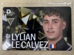 LYLIAN LE CALVEZ リリアン・ル・カルヴェス　ダーツライブカード LYLIAN LE CALVEZ リリアン・ル・カルヴェス ダーツライブカード