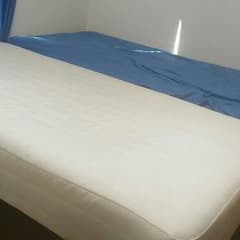 ぐうさまお引き取り専用のサムネイル