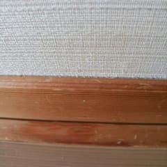 専用のサムネイル