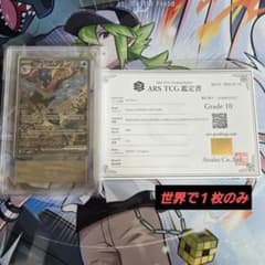 ゲッコウガex ARS 10 ポルトガル語版 PROMO ゲッコウガex ARS 10 ポルトガル語版 PROMO - メルカリ