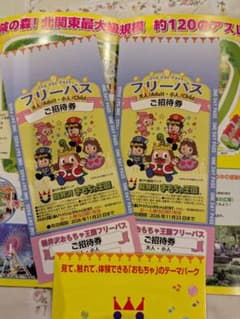 軽井沢おもちゃ王国フリーパス　ご招待2枚のサムネイル