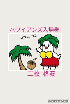 ハワイアンズ入場券 2枚 格安のサムネイル