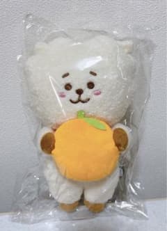 BT21 과일 인형 M RJ
