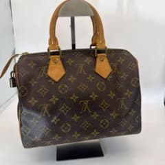 Louis Vuitton モノグラム　スピーディー25 (M41528)のサムネイル