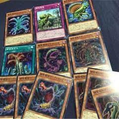 プレデタープランツ セットのサムネイル