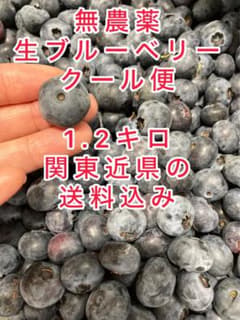 ⬛︎無農薬⬛︎生ブルーベリー⬛︎1.2キロ⬛︎クール便のサムネイル