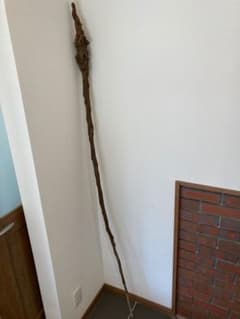 アカザ杖 木製 杖 高さ1900mm 直径31.95mm - メルカリ