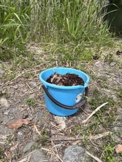 うなぎ釣り　コンポスト補助　ドバミのサムネイル