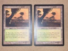 MTG ONS 吹きさらしの荒野/Windswept Heath 英語 2枚 - メルカリ