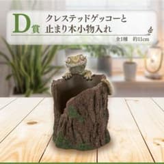 [D상] 이치 반 쿠지 파충류 & 양서류 ~Tiny Friends~vol.2