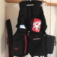 Apiaアピアベストのサムネイル