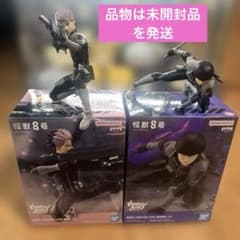 m25914738094_1.jpg?1757427742