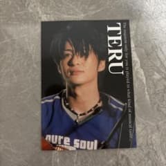 GLAY TERU トレーディングカード No.014 - メルカリ