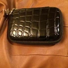 デジカメケースのサムネイル
