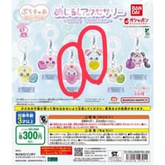 푸치큐아 메지루시 액세서리 2점 세트