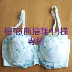 E80のブラジャー(水色)のサムネイル