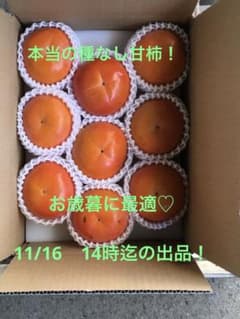 11/16迄の出品！甘い種なし甘柿　糖度16度以上　約2.5キロ(9〜10個入)のサムネイル