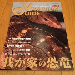 ビバガのサムネイル