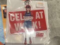 赤血球 アクリルキーホルダー はたらく細胞のサムネイル