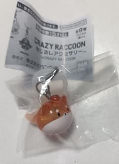 CR　CRAZY　RACCOON　kinako　めじるしアクセサリーのサムネイル