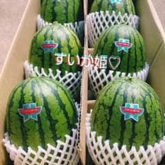 ⑱今年も始まりました！お中元に父の日に大好評♪茨城産のすいか