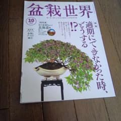 盆栽世界 2022年10月号 vol.794 - メルカリ