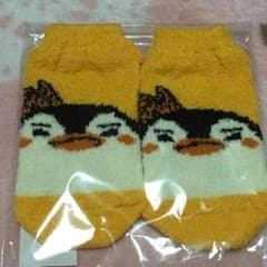 2PM ペンペン ニットソックスのサムネイル